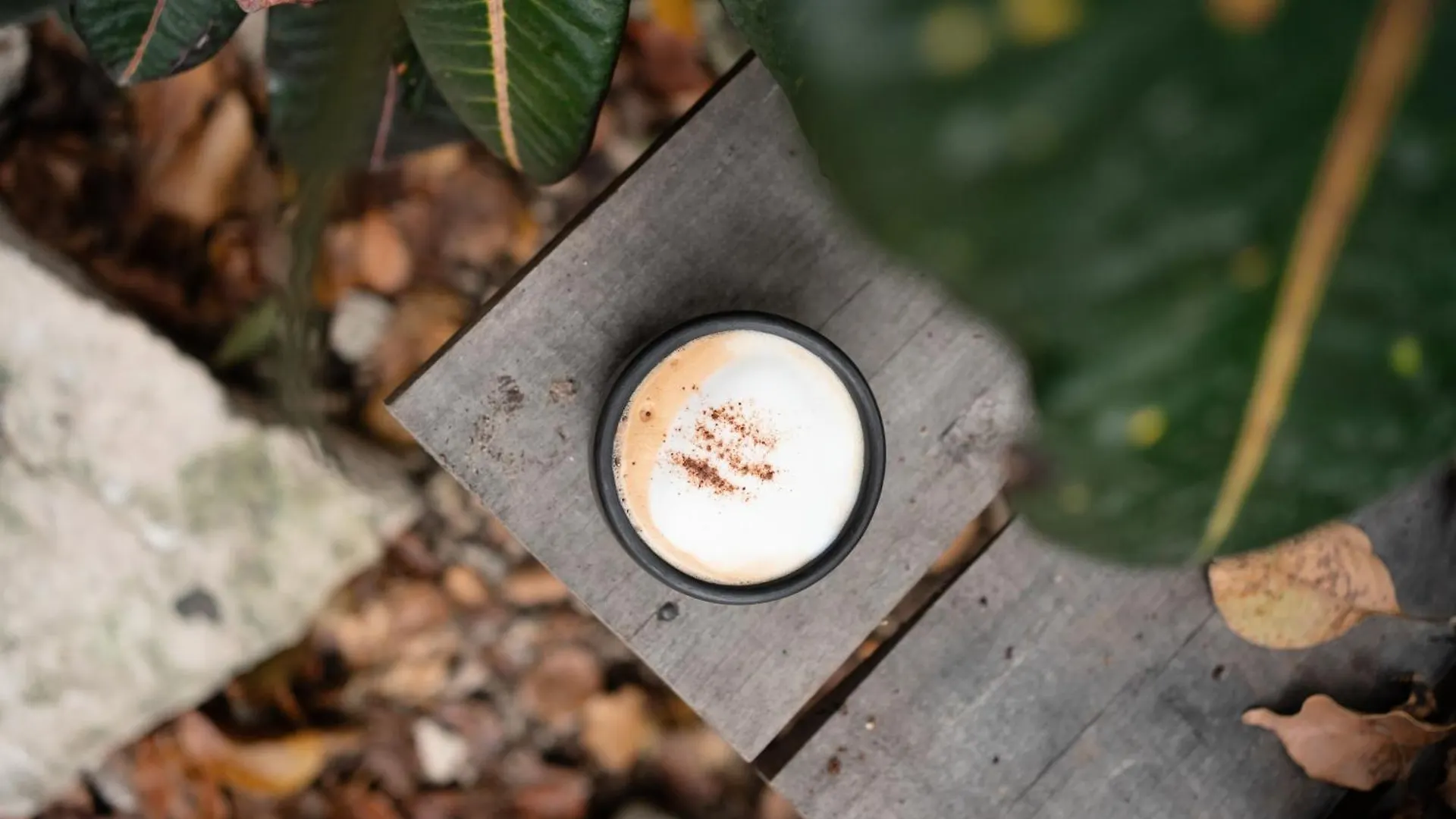 Botanica Tulum Ξενοδοχείο 0*,  Μεξικό